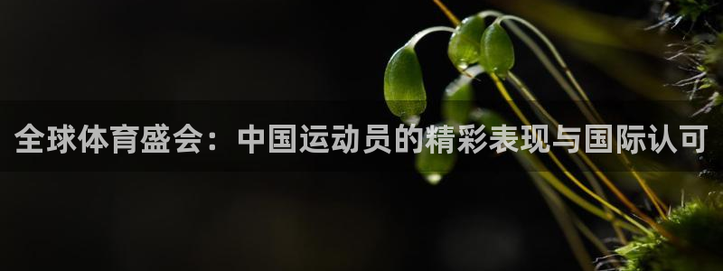 bbin视讯游戏平台