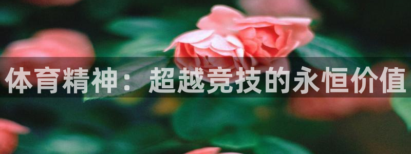 bbin视讯下