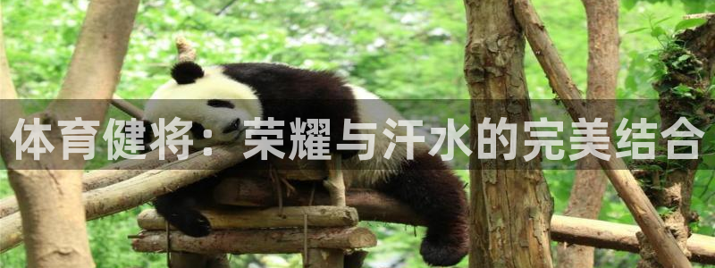 bbin视讯下