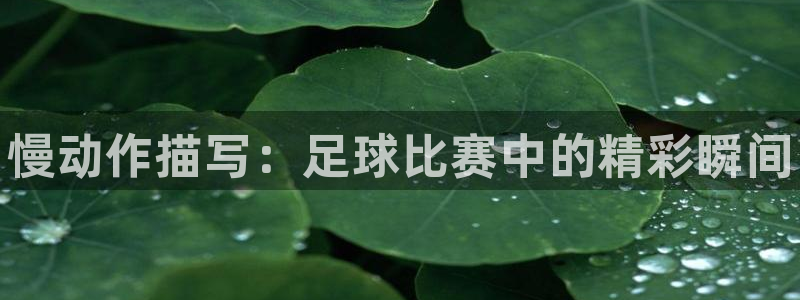 bbin视讯游戏平台