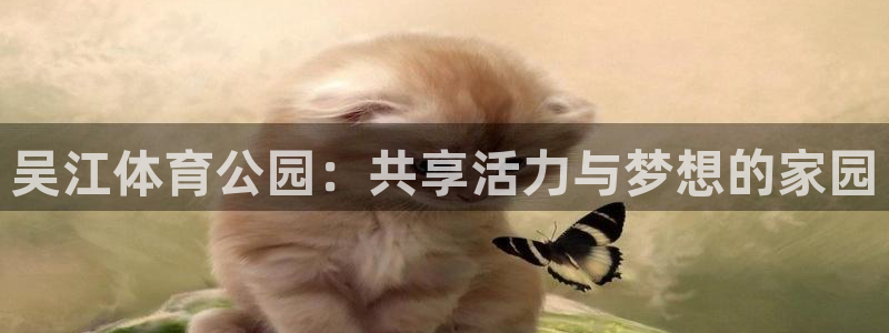 bbin视讯