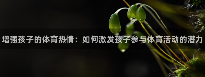 bbin视讯下