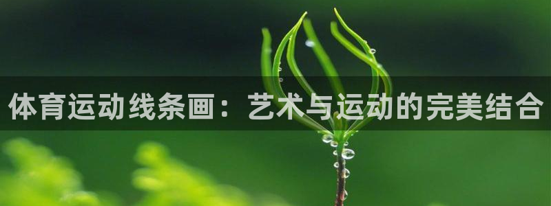 bbin视讯游戏官网