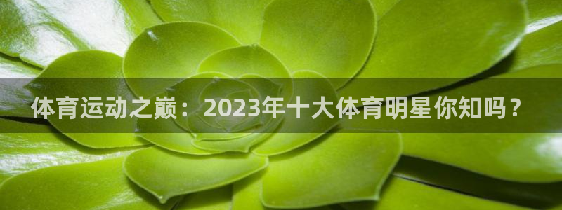 bbin视讯游戏平台