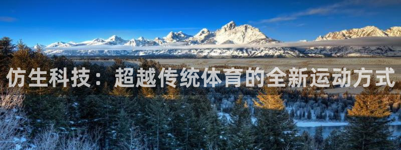 bbin视讯游戏官网