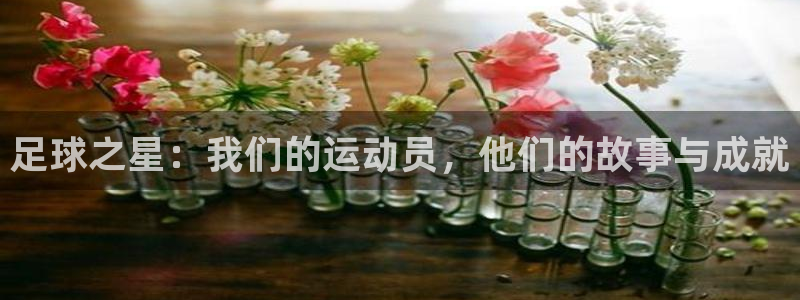 bbin视讯下