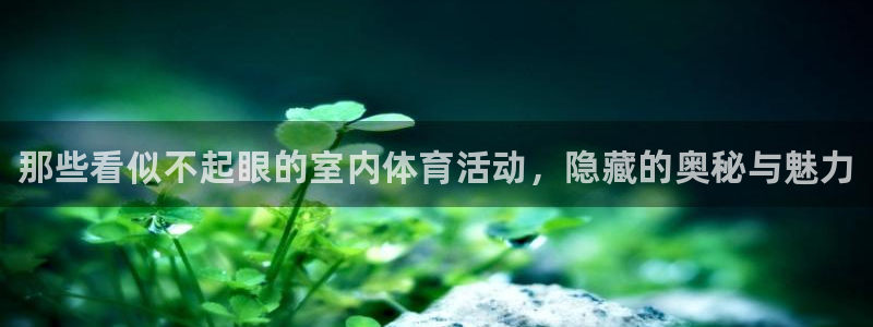bbin视讯游戏官网