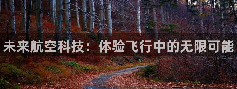 bbin视讯下