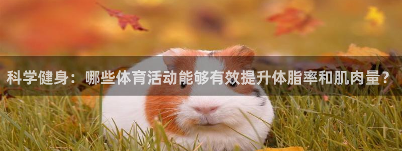 bbin视讯游戏官网