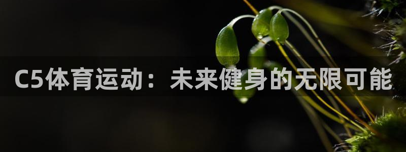 bbin视讯游戏官网