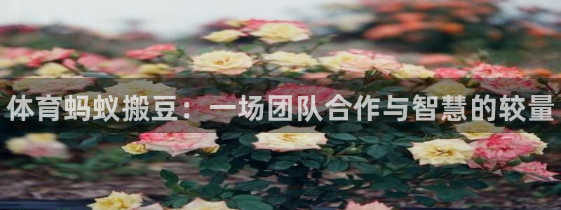 bbin视讯