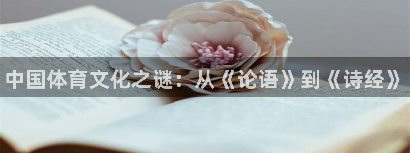 bbin视讯游戏平台