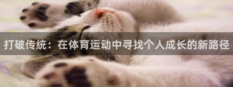 bbin视讯下