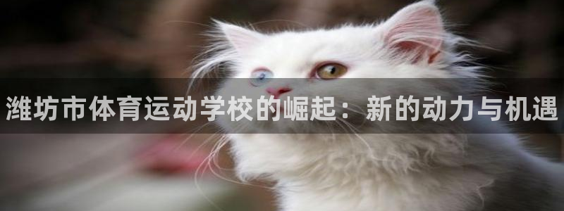 bbin视讯游戏官网