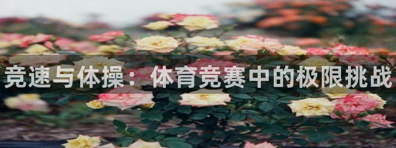 bbin视讯下