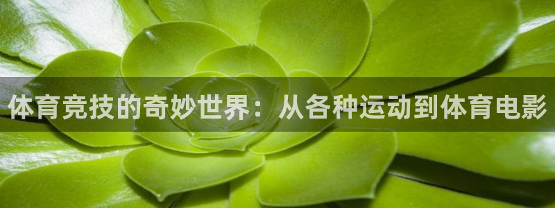bbin视讯下