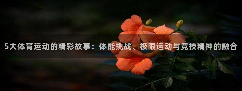 bbin视讯下