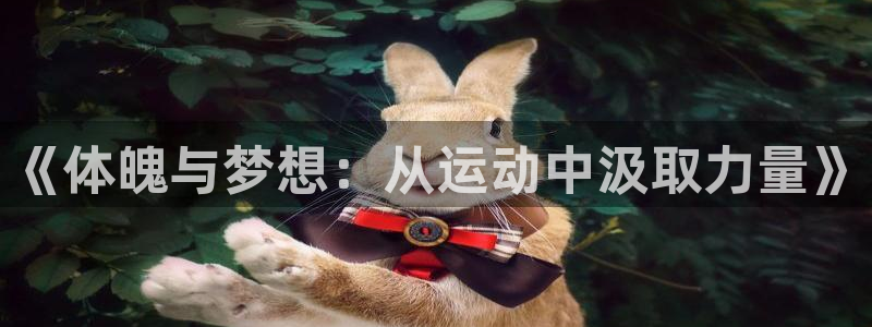 bbin视讯游戏官网