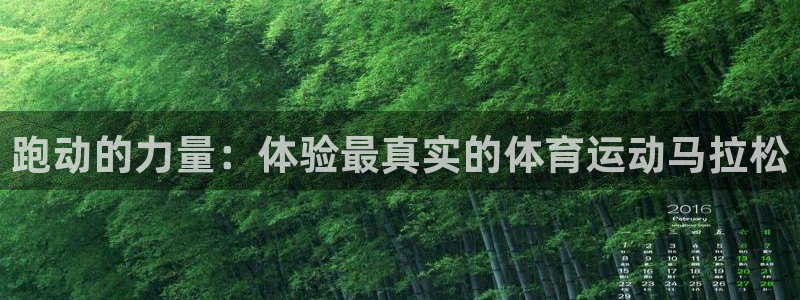 bbin视讯