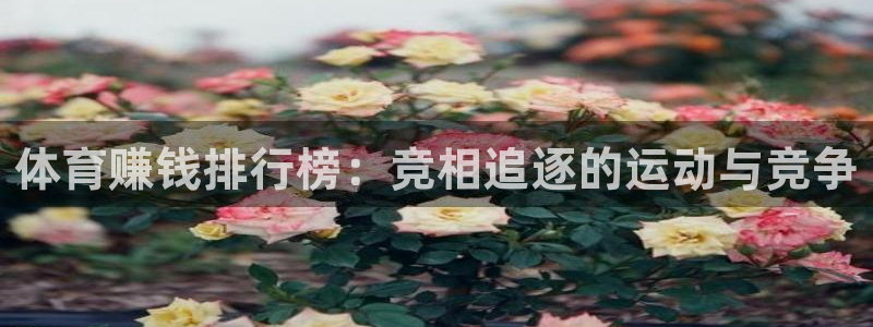 bbin视讯下