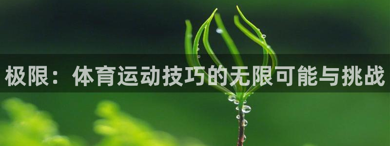 bbin视讯游戏官网