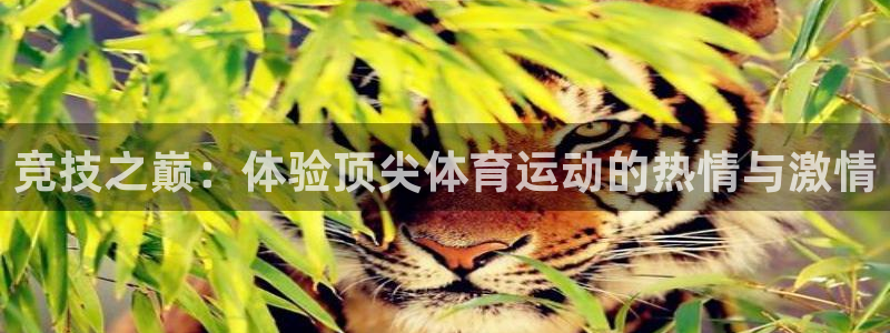 bbin视讯下