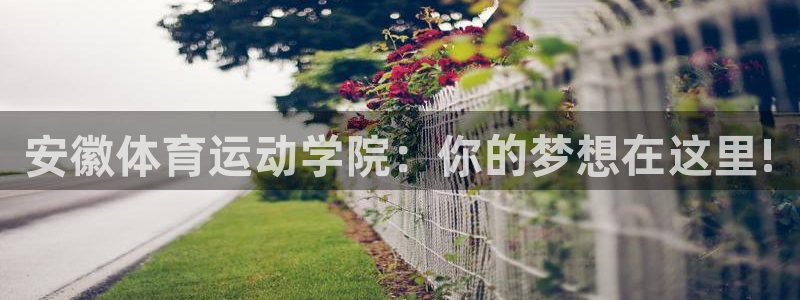 bbin视讯游戏平台