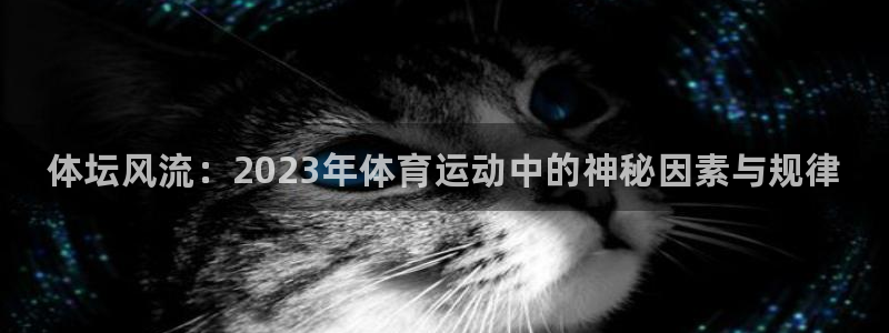 bbin视讯