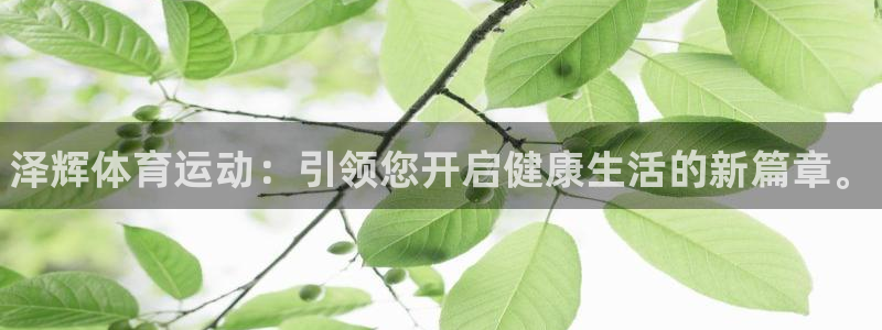 bbin视讯下