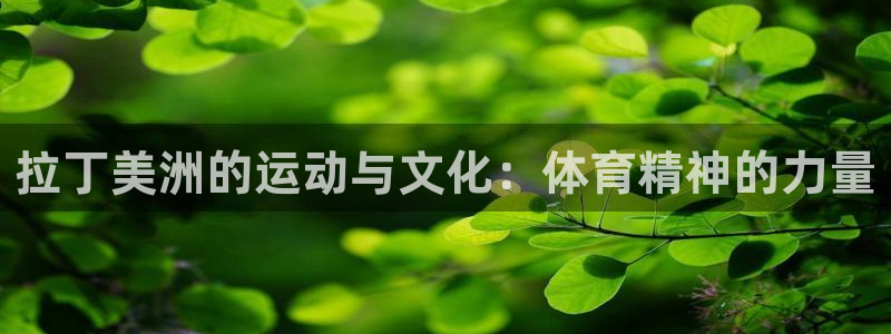 bbin视讯下