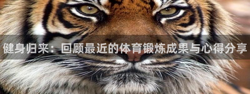bbin视讯下