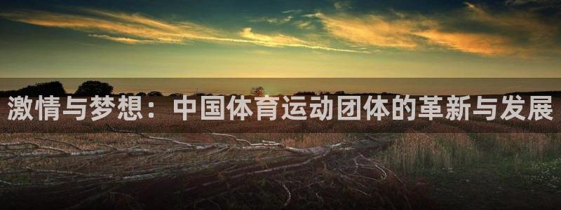 bbin视讯