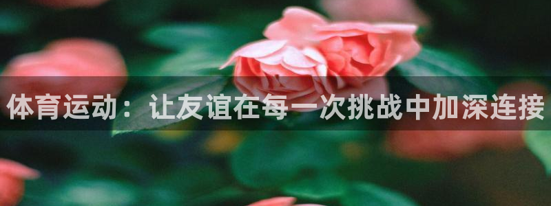 bbin视讯下